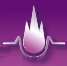 Logo(紫焰科技股份有限公司)